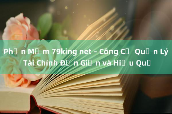 Phần Mềm 79king net – Công Cụ Quản Lý Tài Chính Đơn Giản và Hiệu Quả