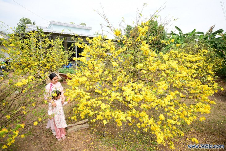 Về quê ngày Tết， nhớ bữa cơm đậm đà tình thương của nội - Ảnh 1.